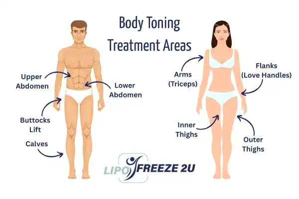Graphic showing where you can have Body toning Treatment Hampshire on your body